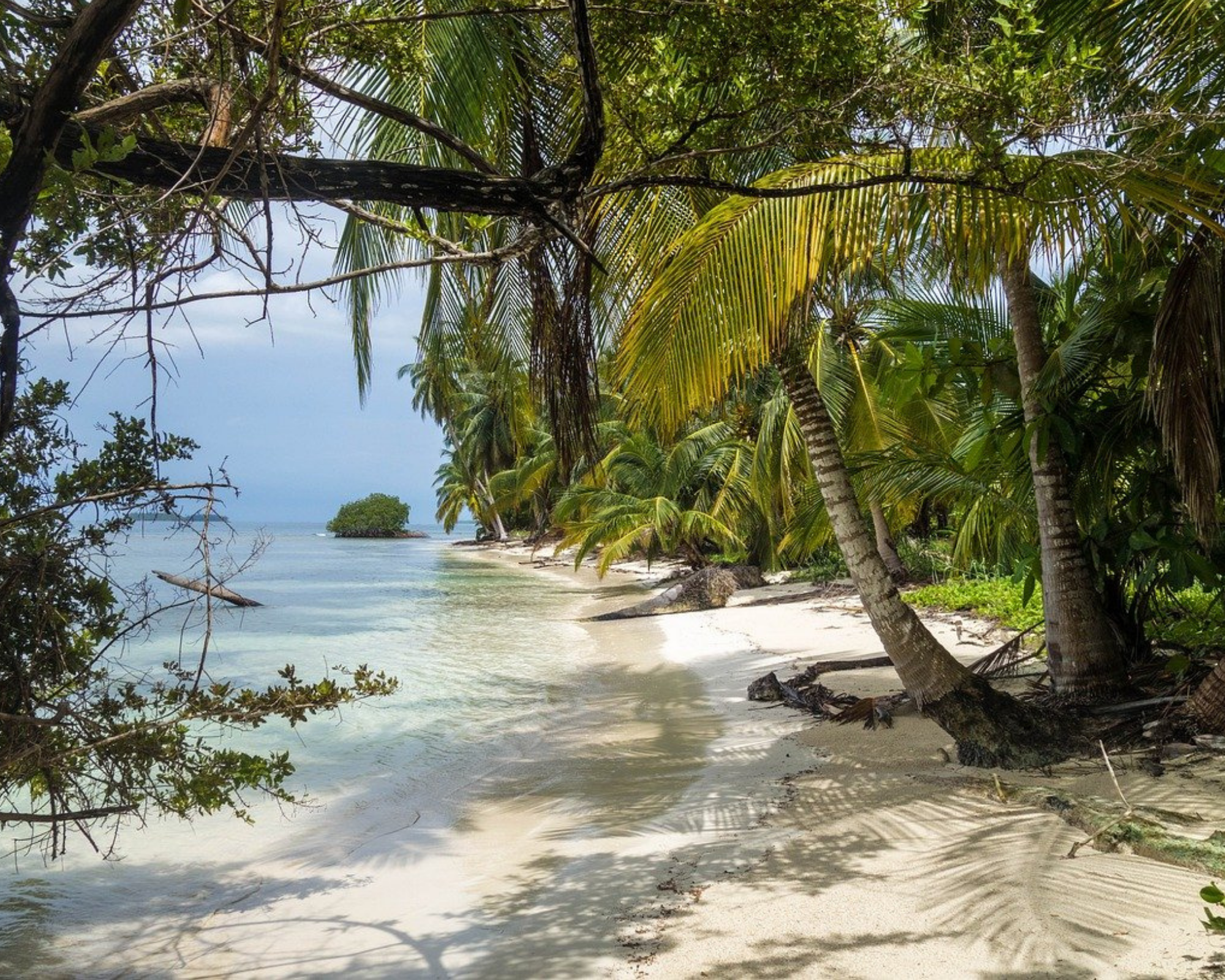 Hotels met Swim Up Rooms